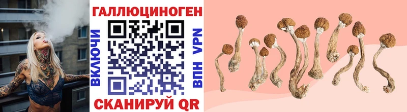 Псилоцибиновые грибы мухоморы  Новочебоксарск 