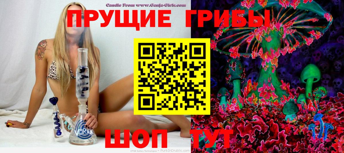 как найти   Галлюциногенные грибы ЛСД  Новочебоксарск  Вход с VPN  Галлюциногенные грибы Psilocybine cubensis 