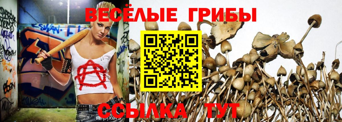 Галлюциногенные грибы мухоморы Новочебоксарск